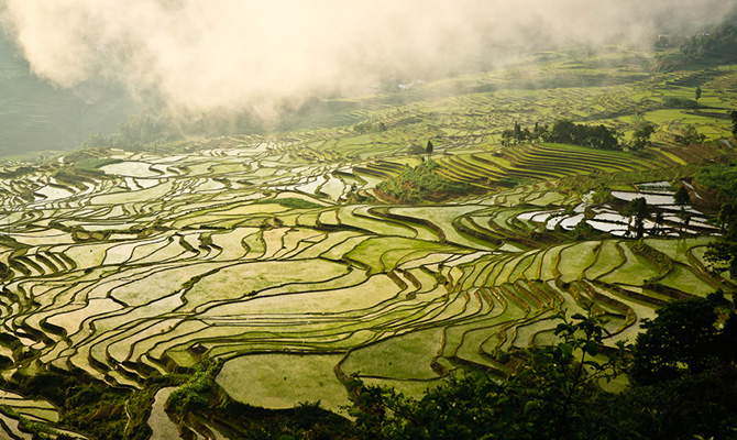 Discover Vietnam From North to South