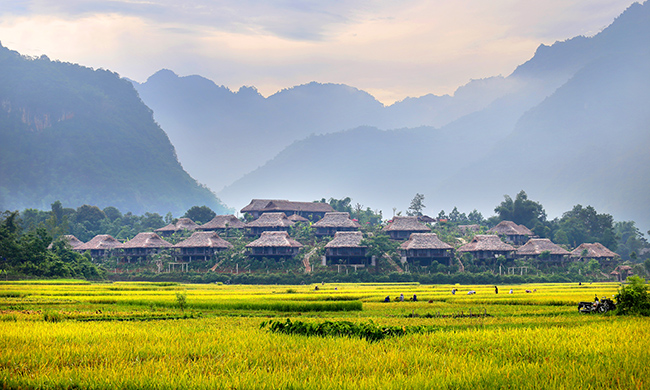 Mai Chau